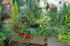 My Gallery: Image