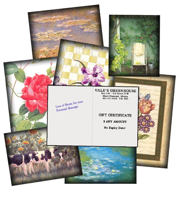 Gift Certifictates at Vale's Greenhouse