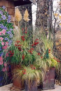 Winter Planting Course - container gardening