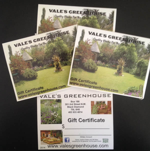 Gift Certifictates at Vale's Greenhouse